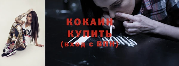 индика Переславль-Залесский