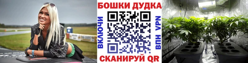 мориарти как зайти  kraken tor  Нижнеудинск  МАРИХУАНА семена 
